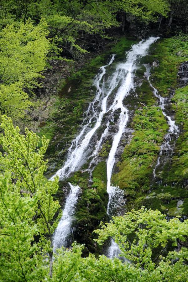 Gorska Hiska Vogar Nad Bohinjskim Jezerom المظهر الخارجي الصورة